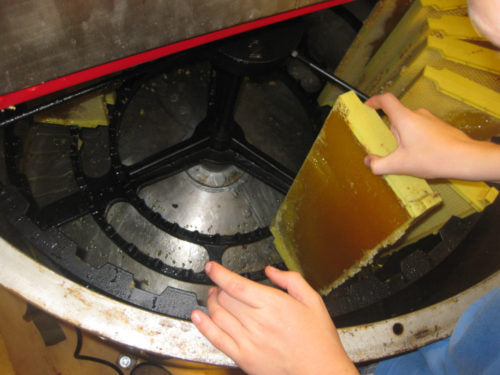 EXTRACTING HONEY